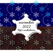 Rok s modrotlačou november 2022