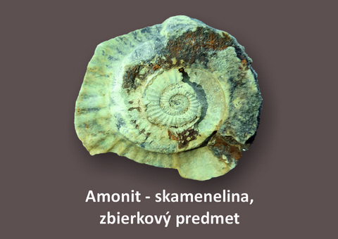 Zbierkový predmet mesiaca november 2024 Zbierkový predmet mesiaca november 2024