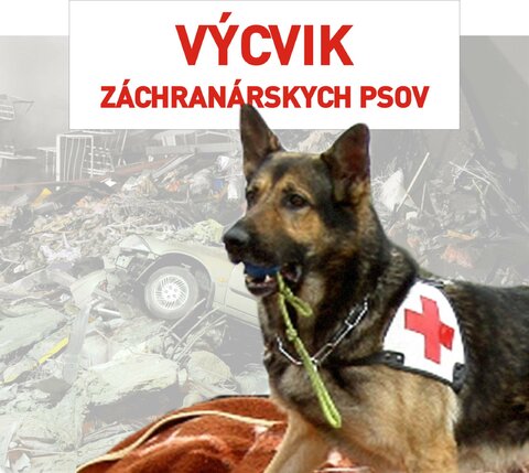 Výcvik záchranárskych psov