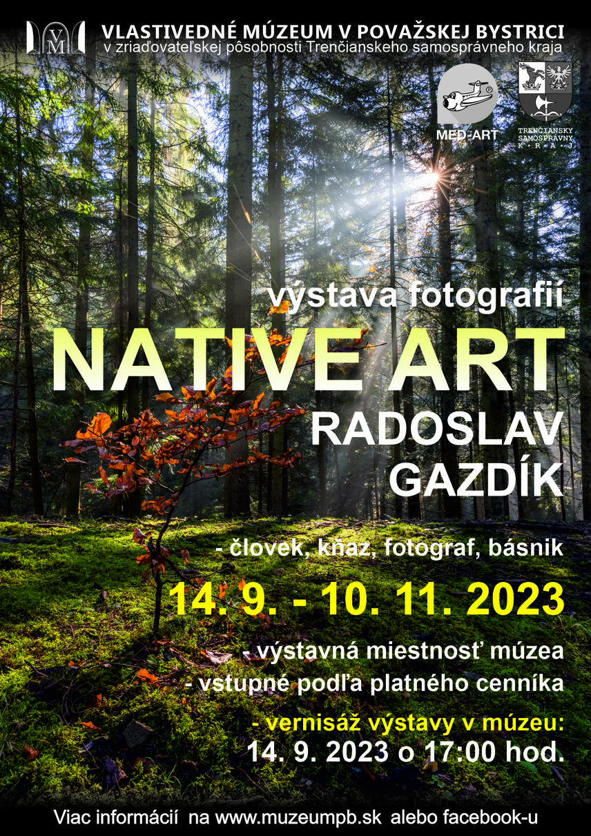 Výstava Native art