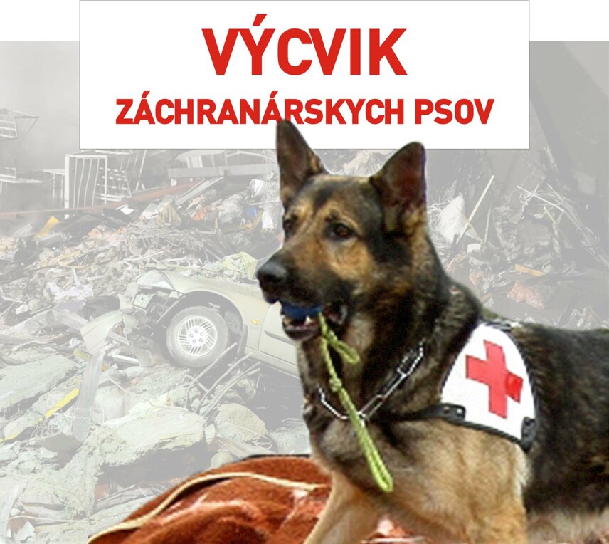 Výcvik záchranárskych psov