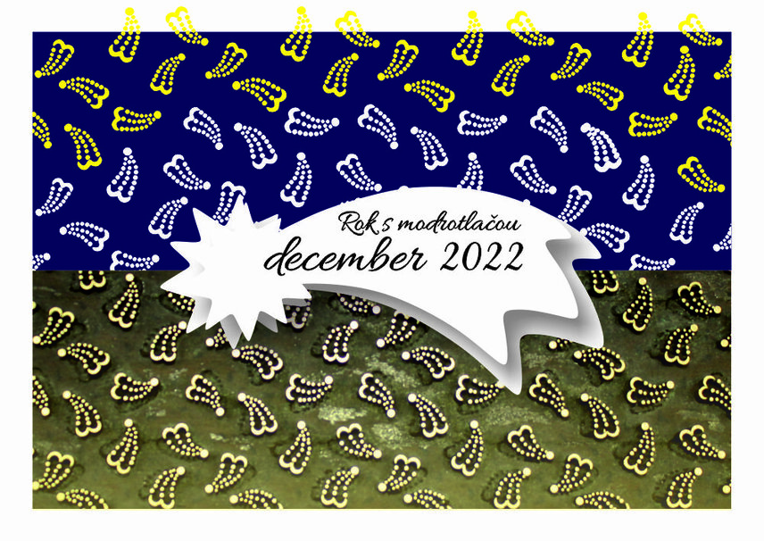 Rok s modrotlačou december 2022