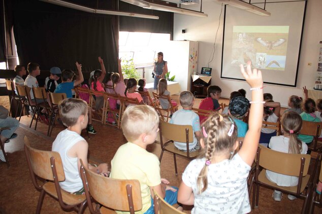 Žiaci zš štiavnik vo vlastivednom múzeu - Prednáška o faune Považia (3) - kópia