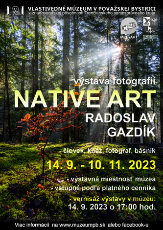 Native art - Native art plagát