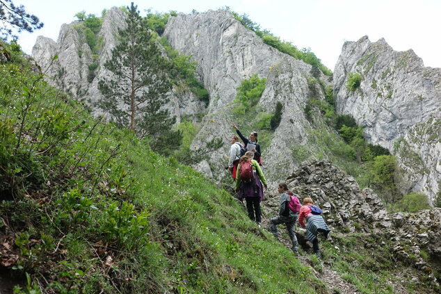 Botanická exkurzia do Manínskej tiesňavy 2023