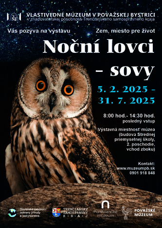 Noční lovci - sovy - Noční lovci - sovy plagát- final