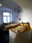 Výstava z fondu archeológie „Púchovská kultúra“ – Župný dom v Púchove