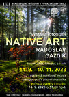 Native art - Native art plagát