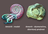 Čaro predmetu 2024 - Amonit JPG 1
