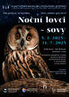Noční lovci - sovy - Noční lovci - sovy plagát- final