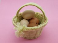 Múzeum v škole 2026 - IMG_20260115_141035