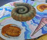 Múzeum v škole 2026 - Skamenelina na kartone