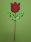 Múzeum v škole 2026 - tulipan z kartonu