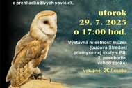 Podujatia a výstavy 2025