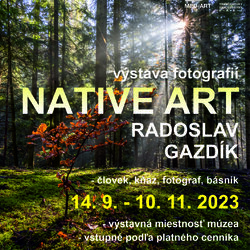 Native art plagát